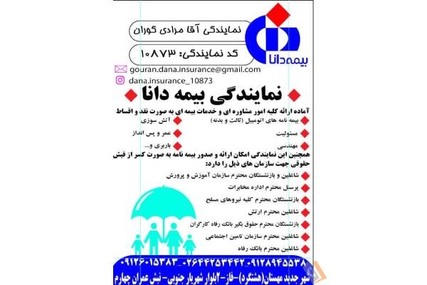 تصویری از نمایندگی بیمه دانا آقامرادی گوران کد 10873 - تصویر 8