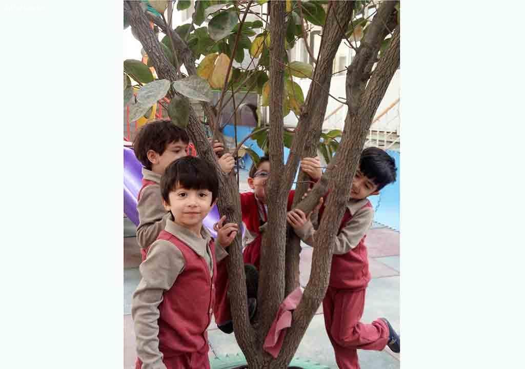 تصویری از مهد کودک و پیش دبستانی کوثر - تصویر 4