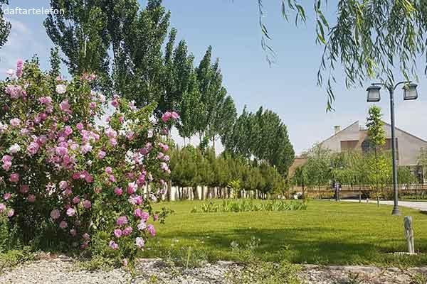 تصویری از مرکز توانبخشی و نگهداری سالمندان خجسته - تصویر 6 تصویری از مرکز توانبخشی و نگهداری سالمندان خجسته - تصویر 6