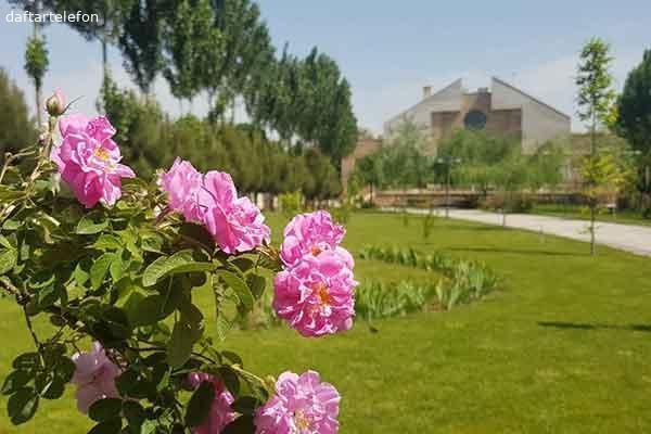 تصویری از مرکز توانبخشی و نگهداری سالمندان خجسته - تصویر 7 تصویری از مرکز توانبخشی و نگهداری سالمندان خجسته - تصویر 7