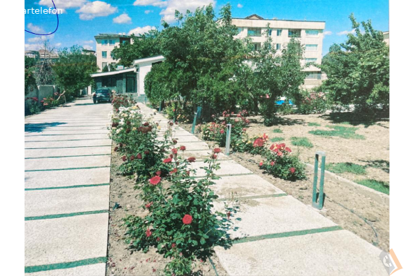 تصویری از پیش دبستان و دبستان غیردولتی دخترانه تحسین - تصویر 2