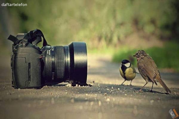 تصویری از مدرسه آموزش از راه دور و بزرگسالان منتظران ( دخترانه ) - تصویر 7