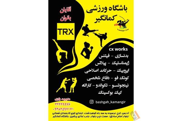 تصویری از باشگاه فرهنگی ورزشی کمانگیر - تصویر 3