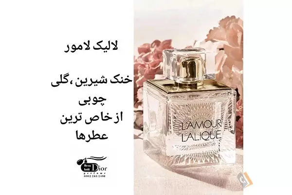 پخش عطر و ادکلن دیور Dior