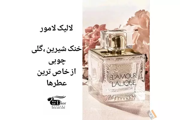 پخش عطر و ادکلن دیور Dior