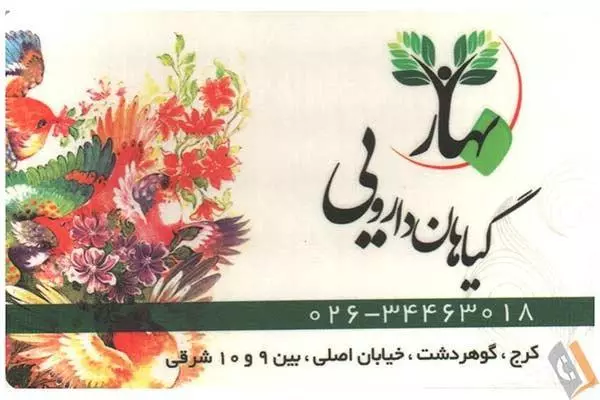 گیاهان دارویی بهار