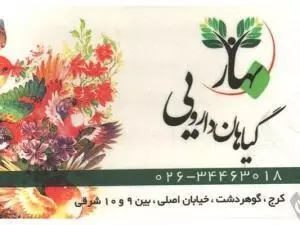 گیاهان دارویی بهار