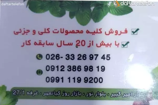 سبزیجات آماده طبخ پاک نادرلو