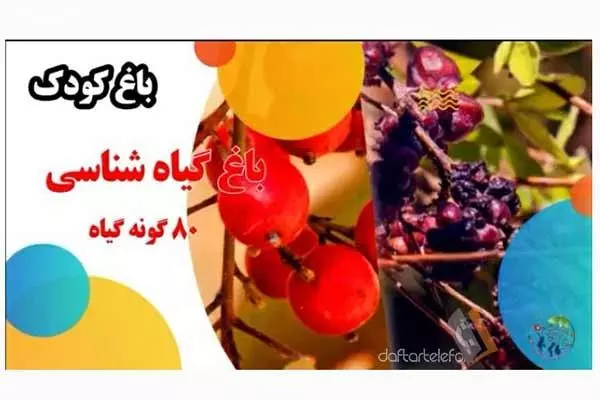 مهد کودک باغ کودک اندیشه